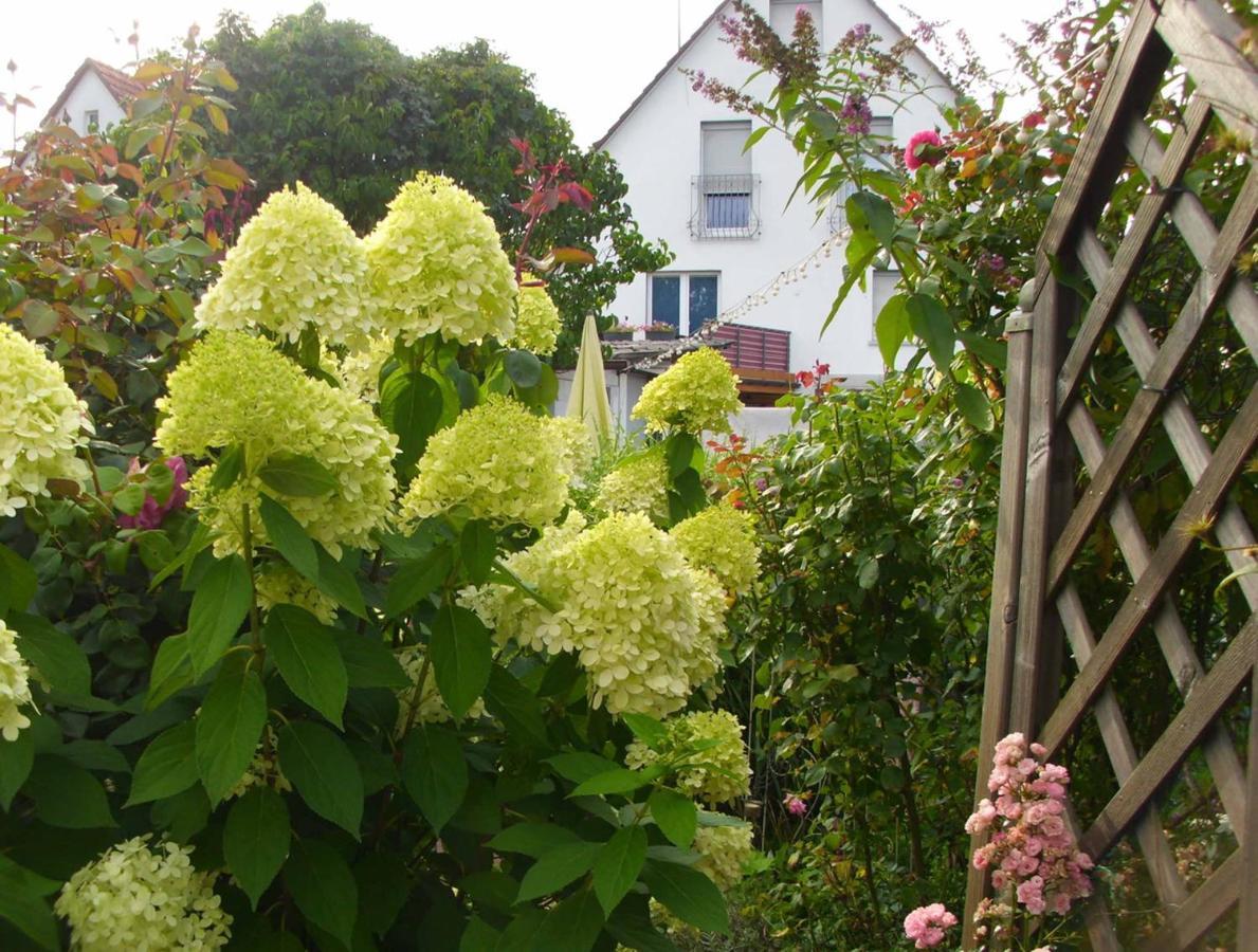 Ferienwohnung Gaby Marburg Exteriér fotografie